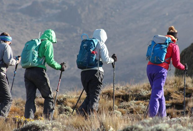 patagonia trek marangu